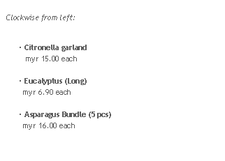 Rounded Rectangle: Clockwise from left:
 Citronella garland 
   myr 15.00 each Eucalyptus (Long)
  myr 6.90 each Asparagus Bundle (5 pcs)
  myr 16.00 each
